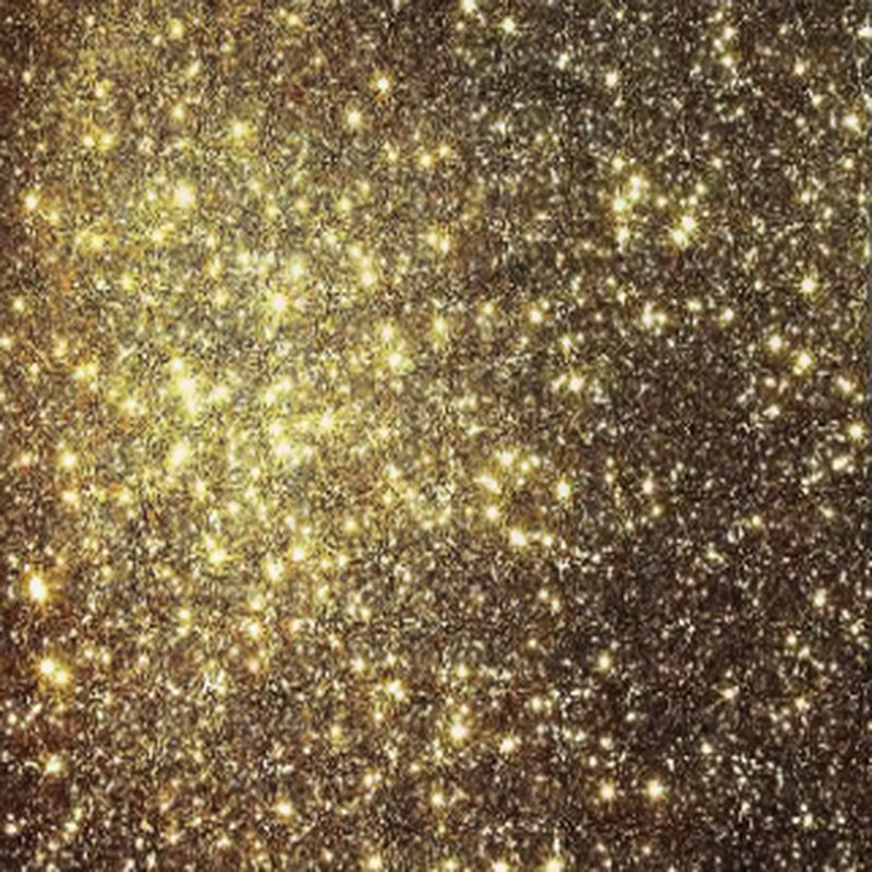 Gilded Glow backdrop — dazzling gold glitter